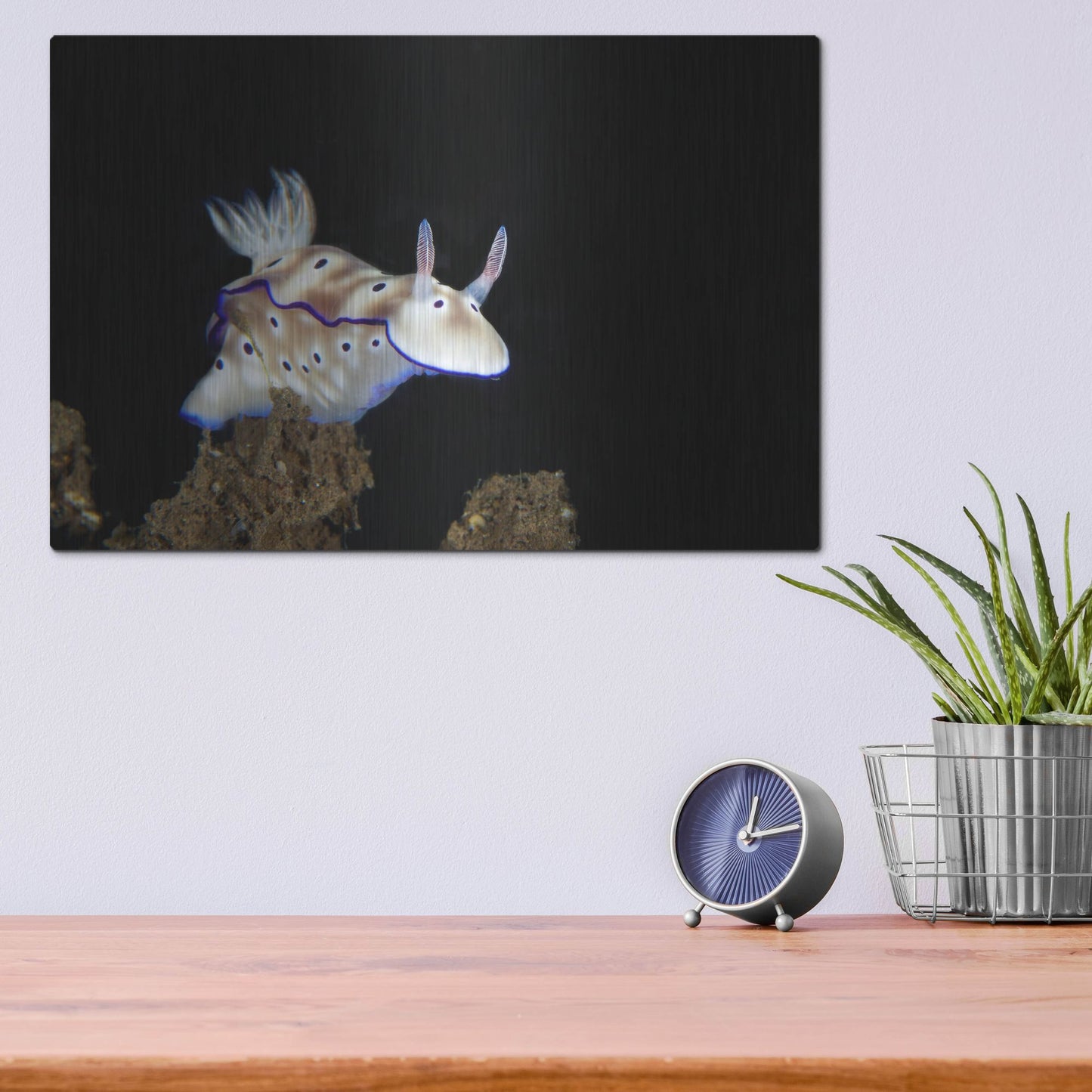 Luxe Metal Art 'Nudibranch On Coral Reef' by Luxe Portfolio, Metal Wall Art,16x12