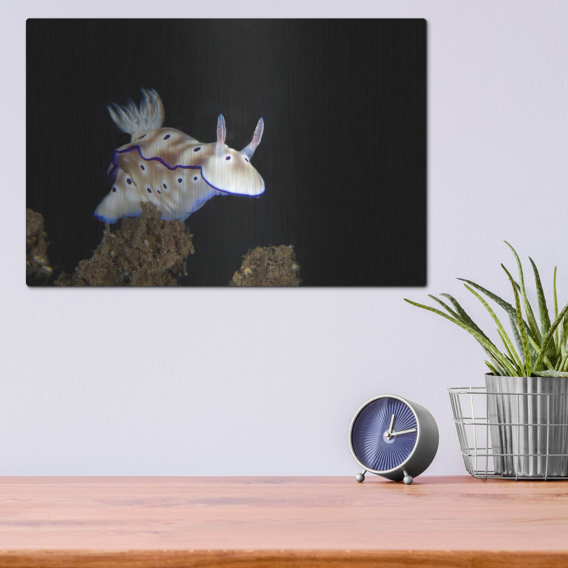 Luxe Metal Art 'Nudibranch On Coral Reef' by Luxe Portfolio, Metal Wall Art,16x12