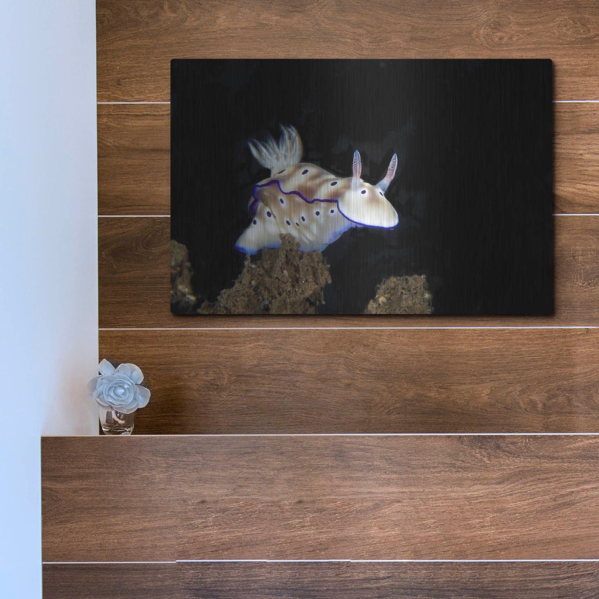 Luxe Metal Art 'Nudibranch On Coral Reef' by Luxe Portfolio, Metal Wall Art,16x12