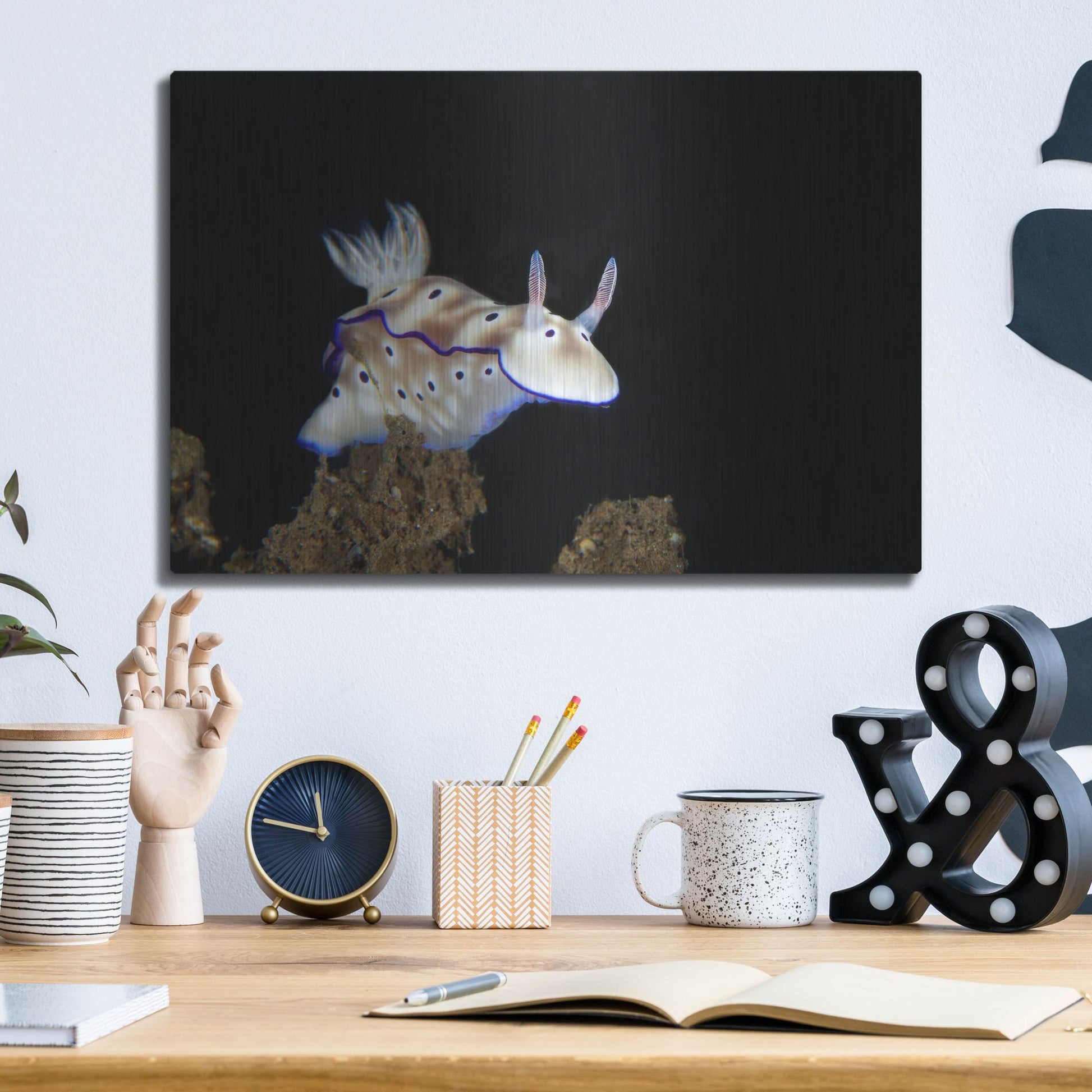 Luxe Metal Art 'Nudibranch On Coral Reef' by Luxe Portfolio, Metal Wall Art,16x12