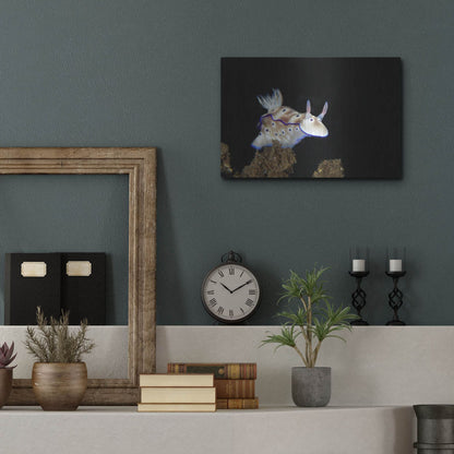 Luxe Metal Art 'Nudibranch On Coral Reef' by Luxe Portfolio, Metal Wall Art,16x12