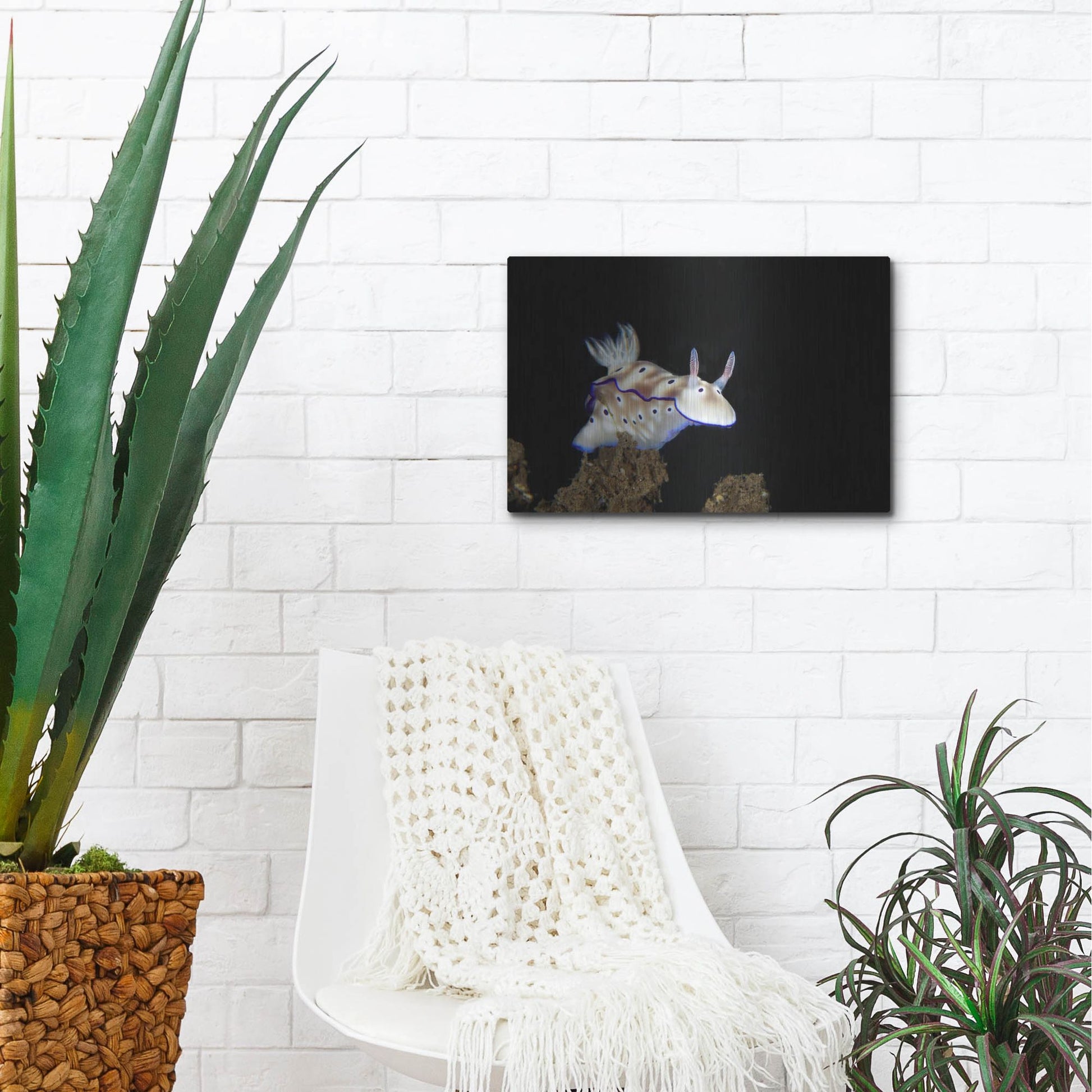 Luxe Metal Art 'Nudibranch On Coral Reef' by Luxe Portfolio, Metal Wall Art,16x12