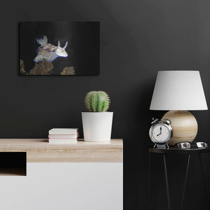 Luxe Metal Art 'Nudibranch On Coral Reef' by Luxe Portfolio, Metal Wall Art,24x16