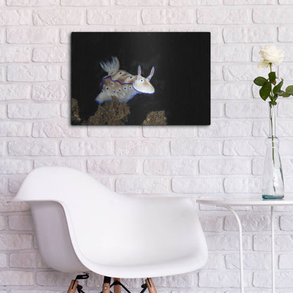 Luxe Metal Art 'Nudibranch On Coral Reef' by Luxe Portfolio, Metal Wall Art,24x16