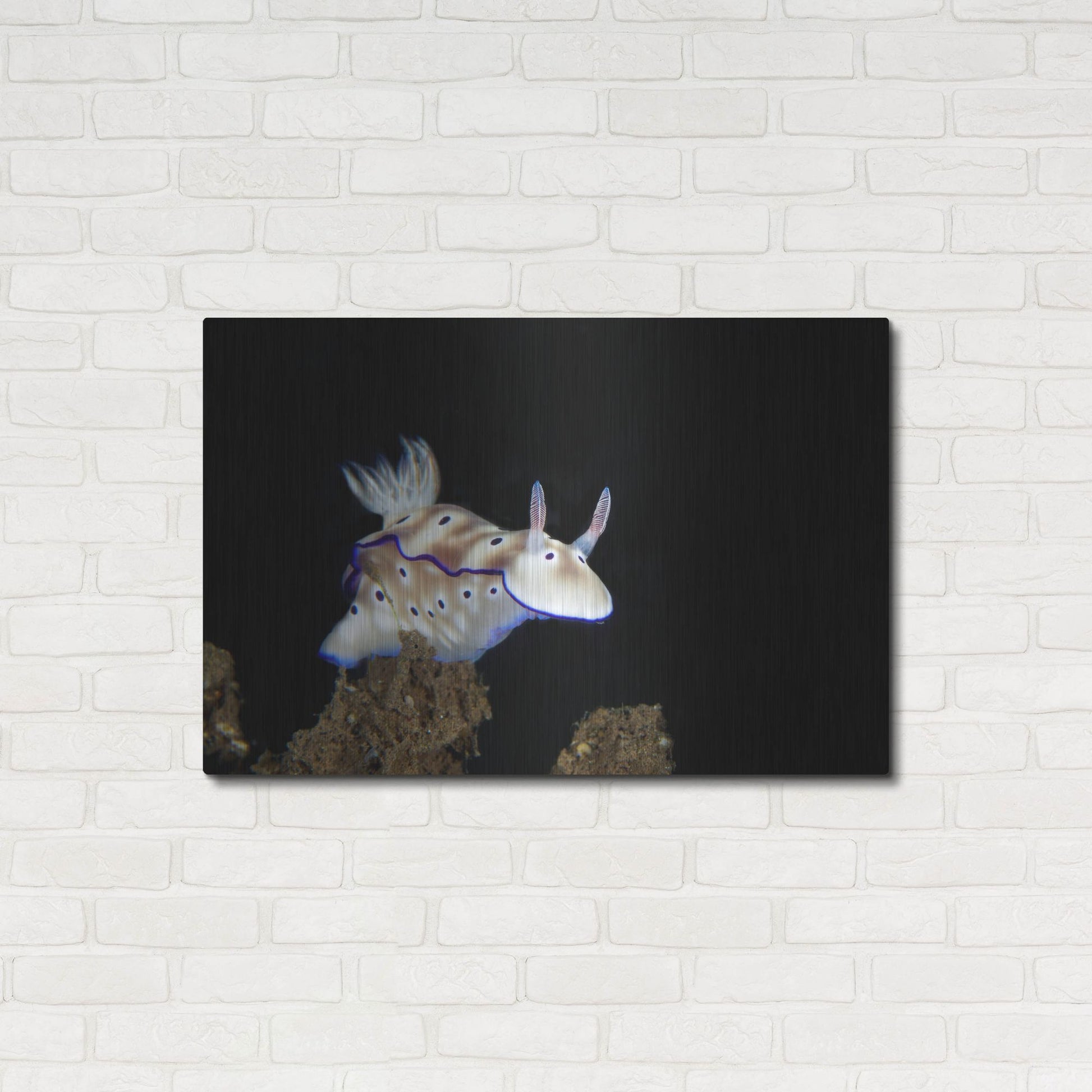 Luxe Metal Art 'Nudibranch On Coral Reef' by Luxe Portfolio, Metal Wall Art,36x24