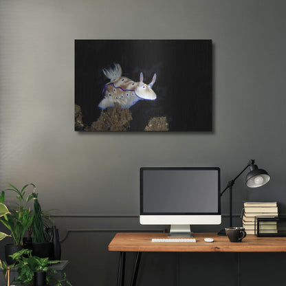 Luxe Metal Art 'Nudibranch On Coral Reef' by Luxe Portfolio, Metal Wall Art,36x24