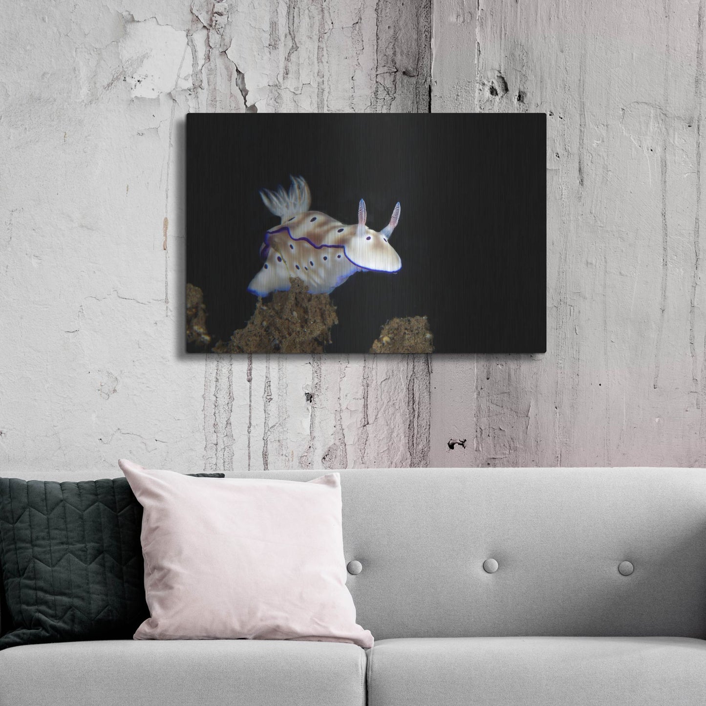 Luxe Metal Art 'Nudibranch On Coral Reef' by Luxe Portfolio, Metal Wall Art,36x24