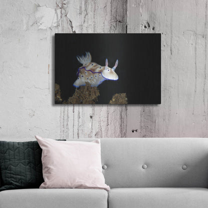 Luxe Metal Art 'Nudibranch On Coral Reef' by Luxe Portfolio, Metal Wall Art,36x24