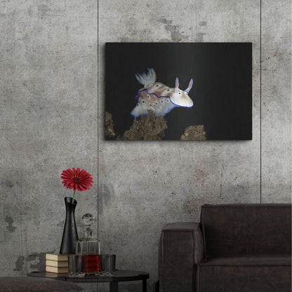 Luxe Metal Art 'Nudibranch On Coral Reef' by Luxe Portfolio, Metal Wall Art,36x24
