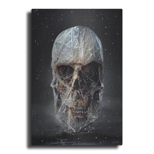 Luxe Metal Art 'Cosmo Skull' by Ben Heine, Metal Wall Art