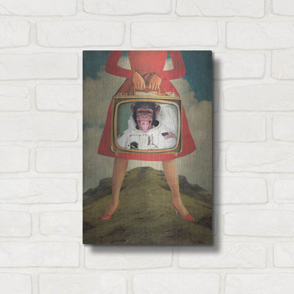 Luxe Metal Art 'Monkey See Monkey Do' by Elo Marc, Metal Wall Art,12x16