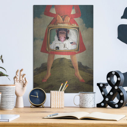 Luxe Metal Art 'Monkey See Monkey Do' by Elo Marc, Metal Wall Art,12x16
