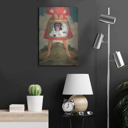 Luxe Metal Art 'Monkey See Monkey Do' by Elo Marc, Metal Wall Art,16x24
