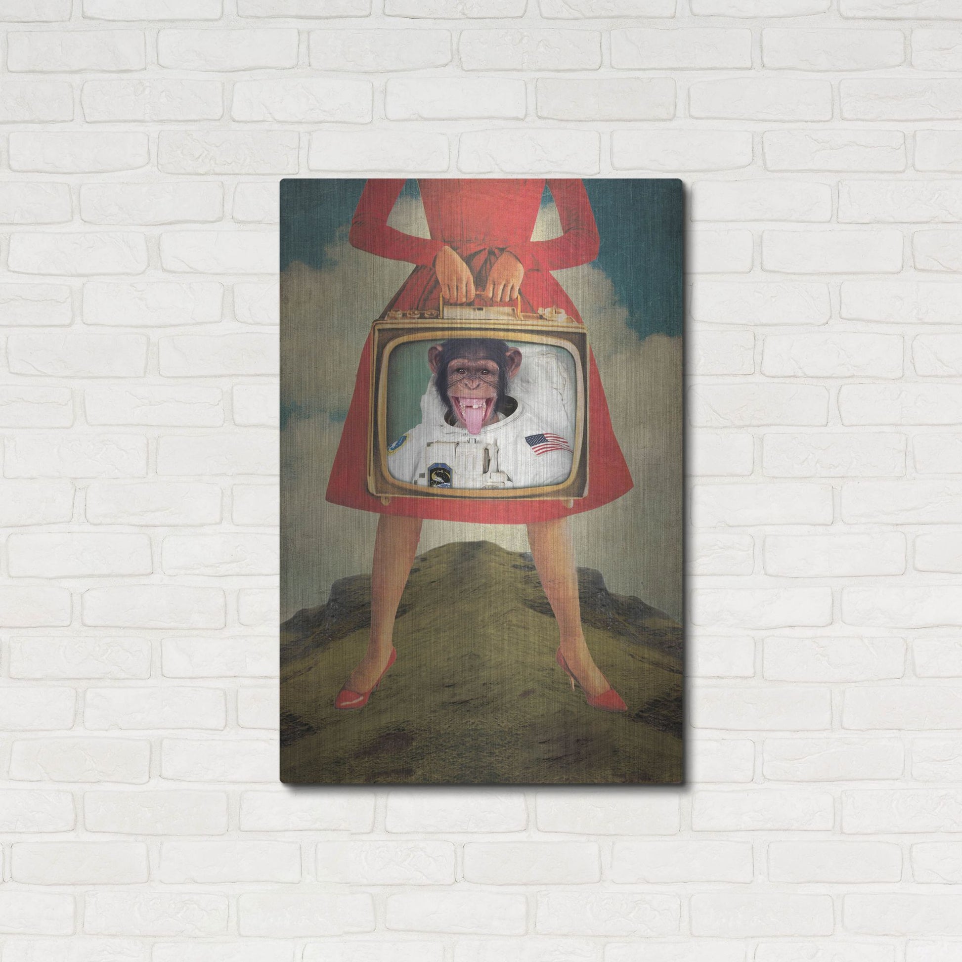Luxe Metal Art 'Monkey See Monkey Do' by Elo Marc, Metal Wall Art,24x36