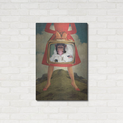Luxe Metal Art 'Monkey See Monkey Do' by Elo Marc, Metal Wall Art,24x36