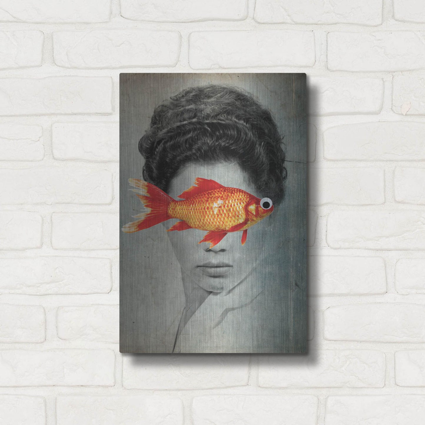 Luxe Metal Art 'Fish Eye' by Elo Marc, Metal Wall Art,12x16