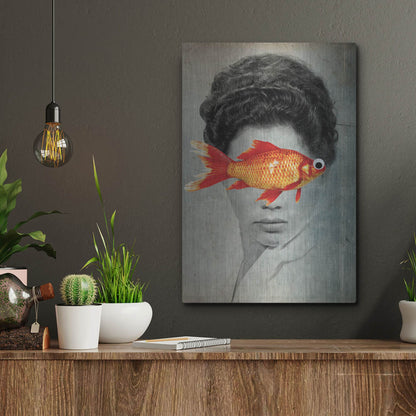 Luxe Metal Art 'Fish Eye' by Elo Marc, Metal Wall Art,12x16