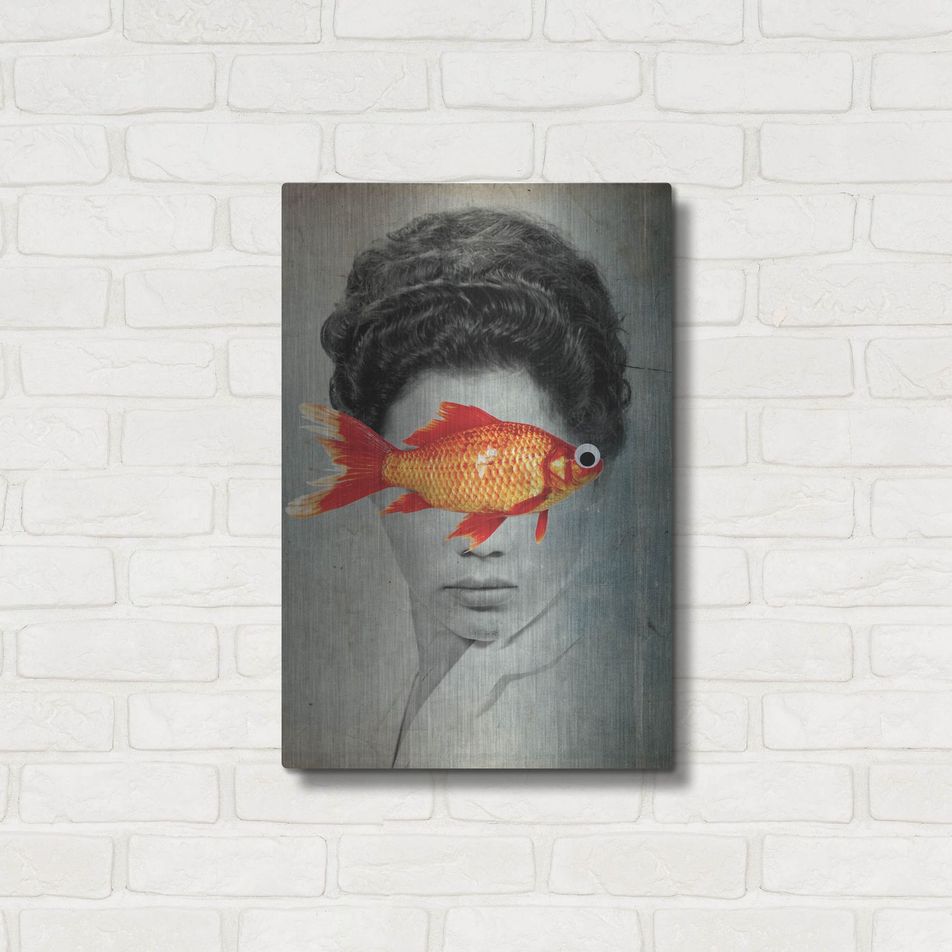 Luxe Metal Art 'Fish Eye' by Elo Marc, Metal Wall Art,16x24