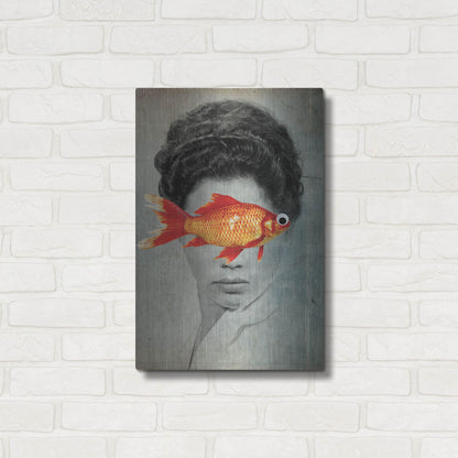 Luxe Metal Art 'Fish Eye' by Elo Marc, Metal Wall Art,16x24