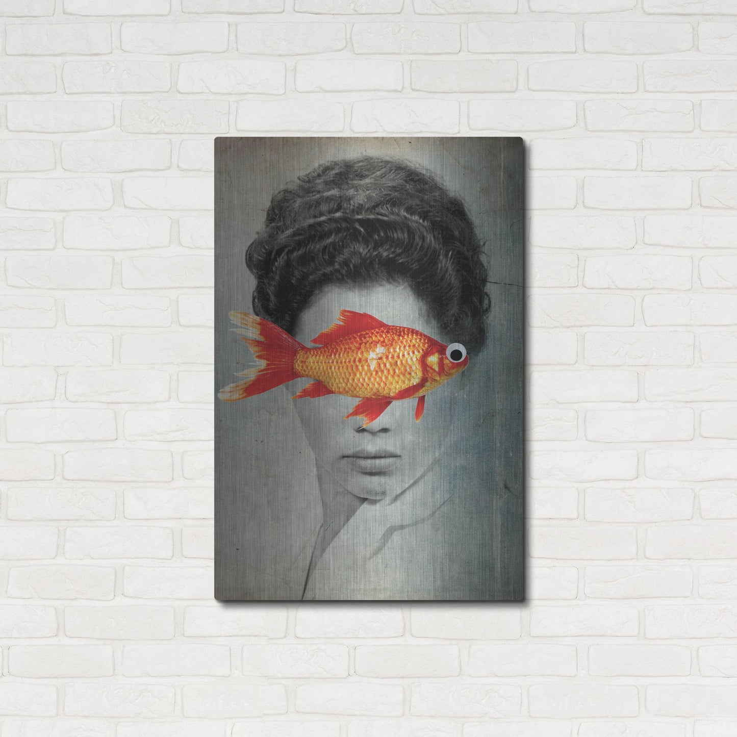 Luxe Metal Art 'Fish Eye' by Elo Marc, Metal Wall Art,24x36