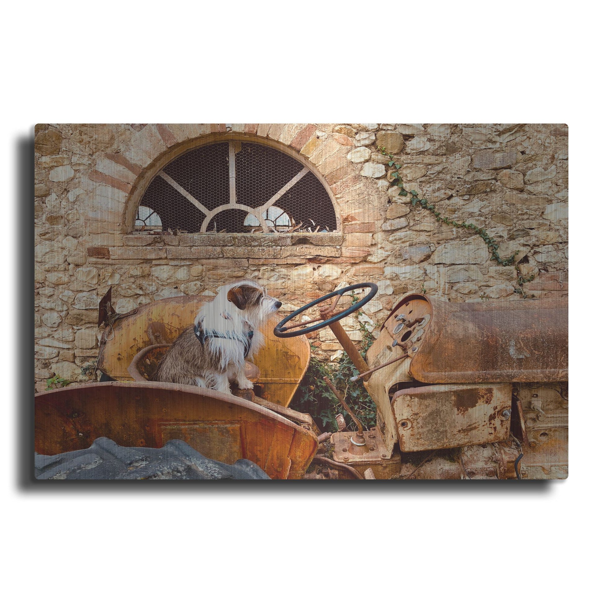 Luxe Metal Art 'Archibald the Farmer' by IMB, Metal Wall Art