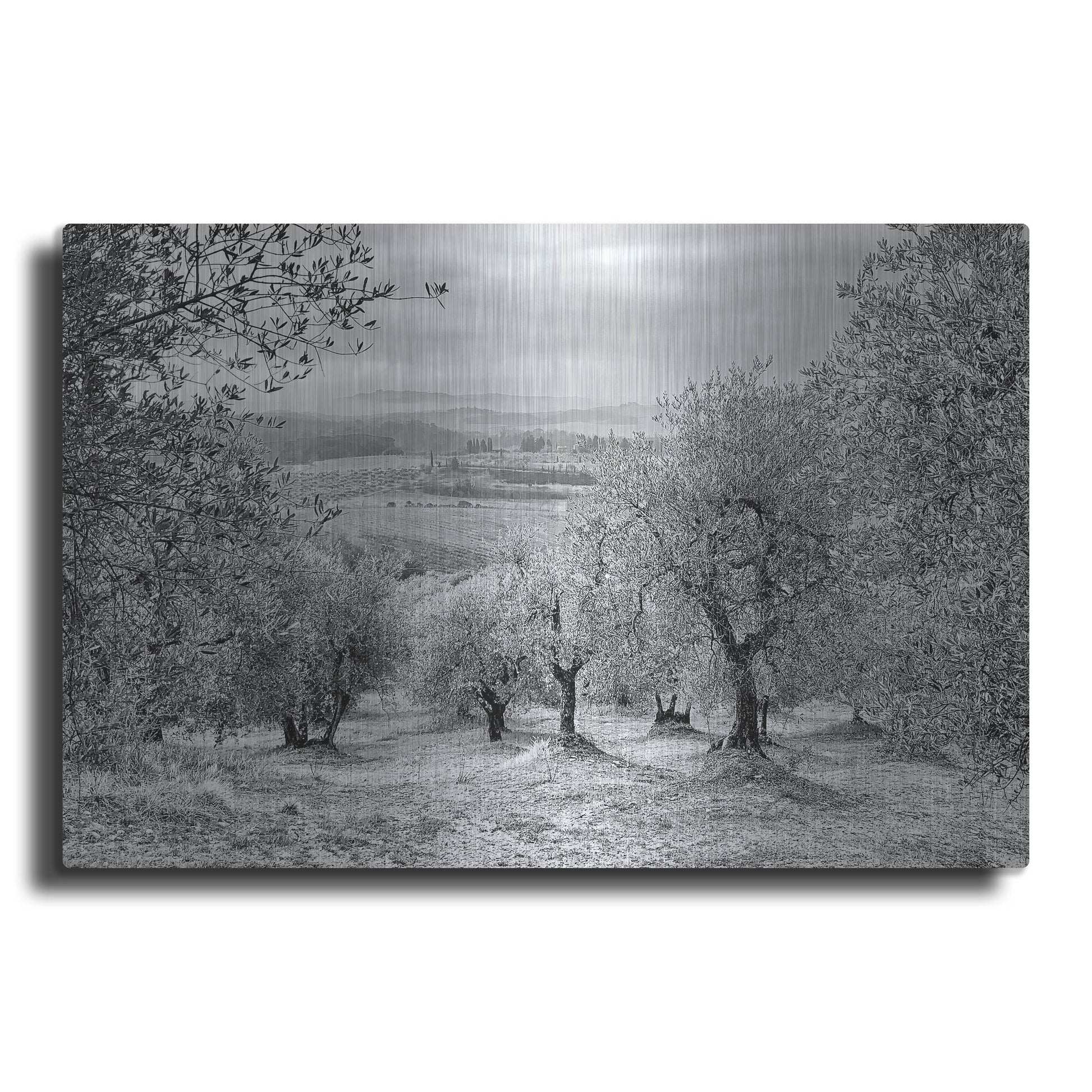 Luxe Metal Art 'Kansas or Chianti' by IMB, Metal Wall Art