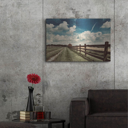 Luxe Metal Art 'Wolf Creek Perspective' by IMB, Metal Wall Art,36x24