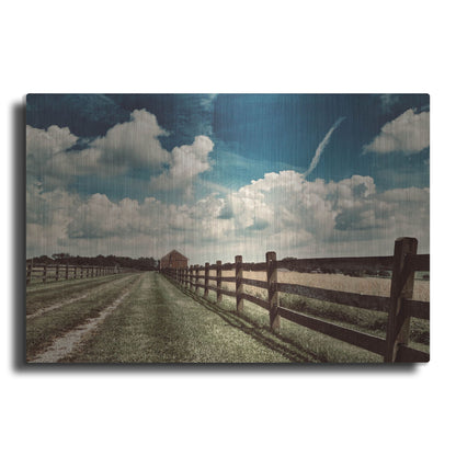 Luxe Metal Art 'Wolf Creek Perspective' by IMB, Metal Wall Art