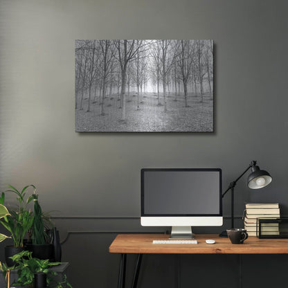 Luxe Metal Art 'Nature Reorganised' by IMB, Metal Wall Art,36x24