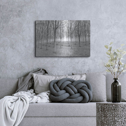 Luxe Metal Art 'Nature Reorganised' by IMB, Metal Wall Art,36x24