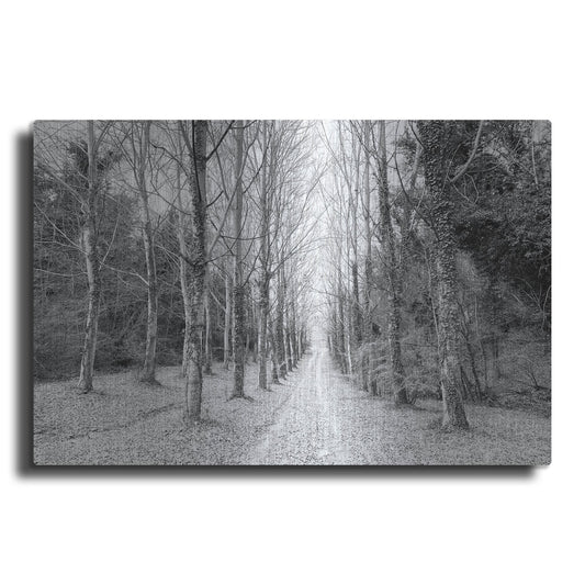 Luxe Metal Art 'The Way Forward' by IMB, Metal Wall Art