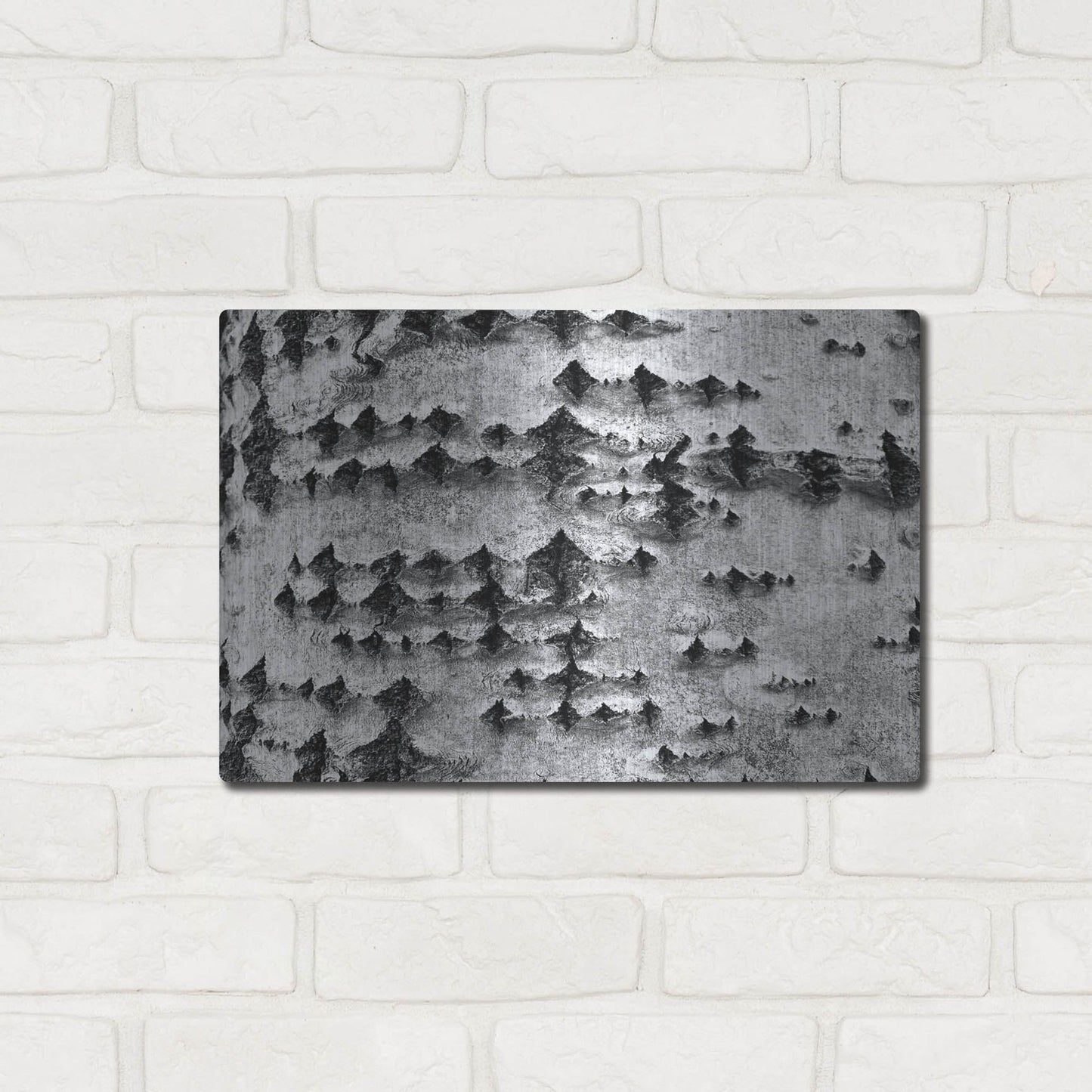 Luxe Metal Art 'Woodpecker's Delight' by IMB, Metal Wall Art,16x12