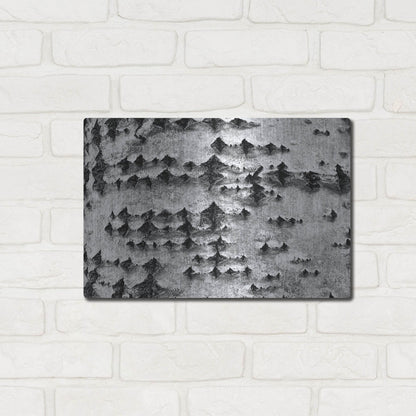 Luxe Metal Art 'Woodpecker's Delight' by IMB, Metal Wall Art,16x12