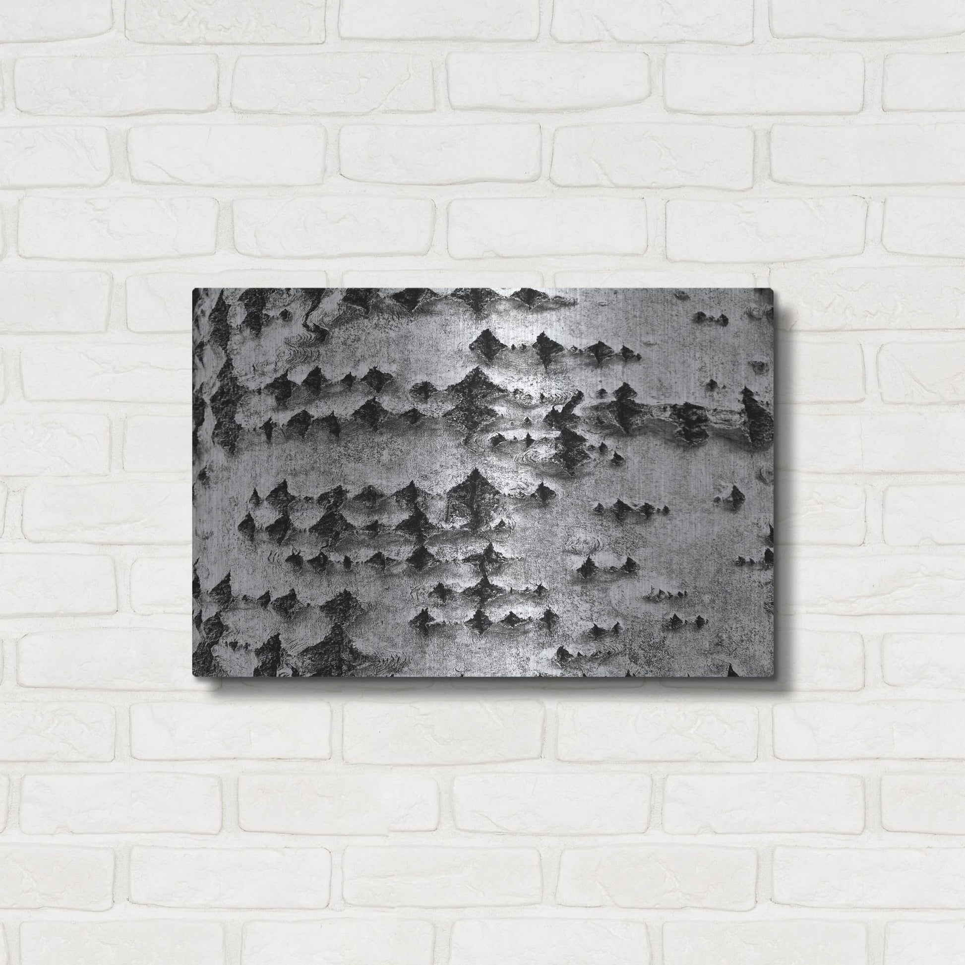 Luxe Metal Art 'Woodpecker's Delight' by IMB, Metal Wall Art,24x16