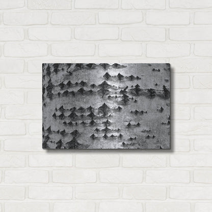 Luxe Metal Art 'Woodpecker's Delight' by IMB, Metal Wall Art,24x16