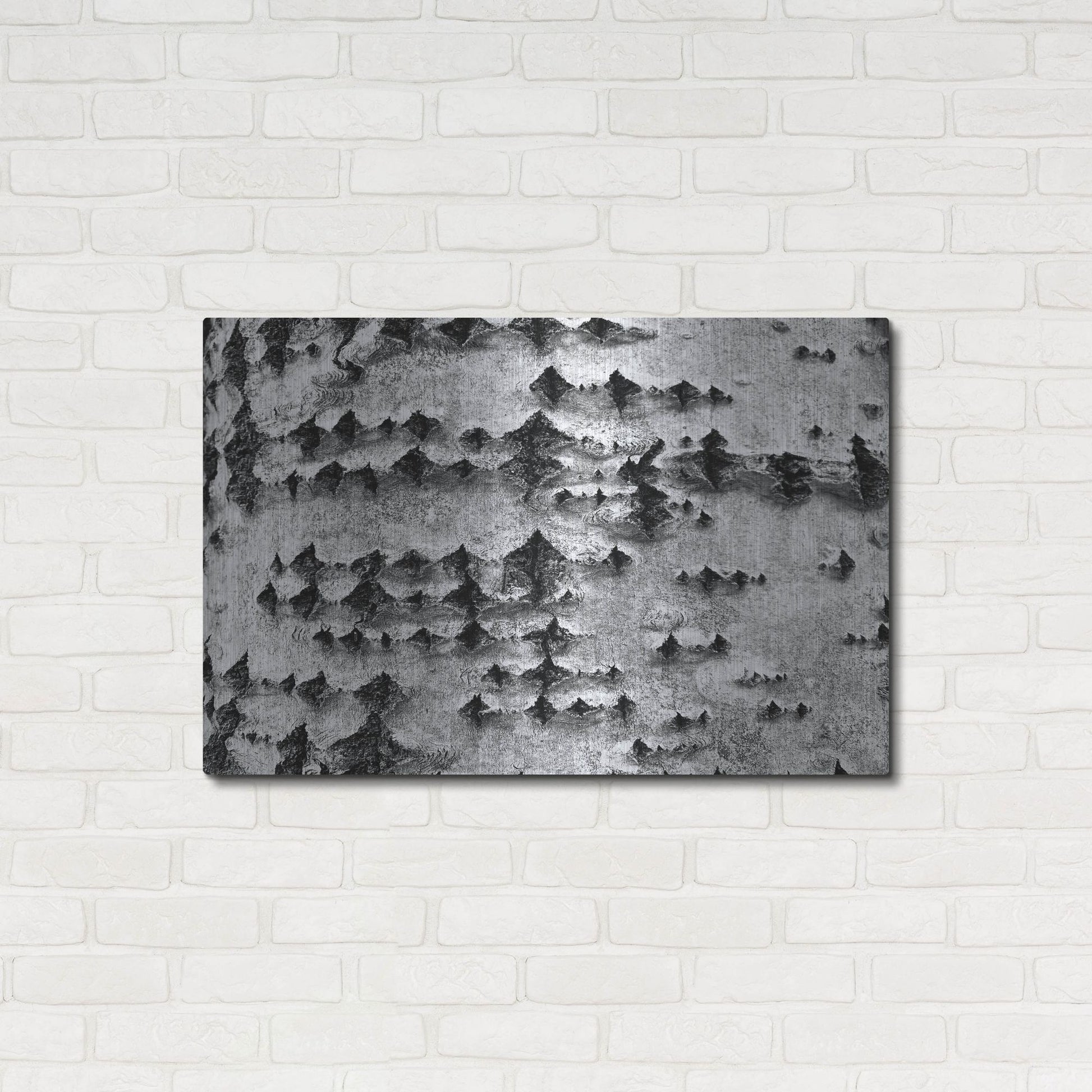 Luxe Metal Art 'Woodpecker's Delight' by IMB, Metal Wall Art,36x24