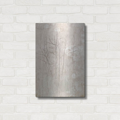 Luxe Metal Art 'Stucco Minus Vine 3' by IMB, Metal Wall Art,16x24