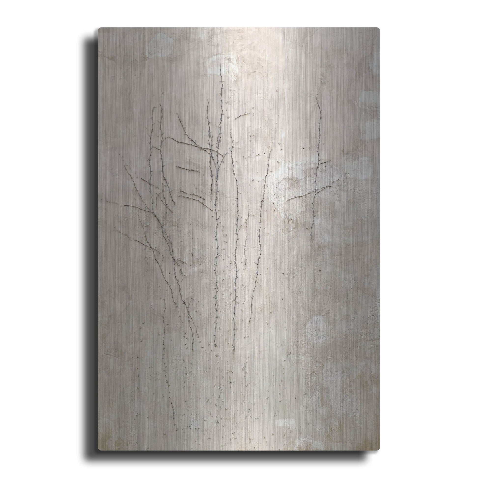 Luxe Metal Art 'Stucco Minus Vine 3' by IMB, Metal Wall Art