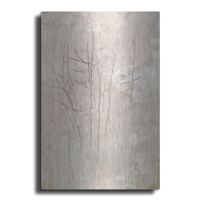 Luxe Metal Art 'Stucco Minus Vine 3' by IMB, Metal Wall Art
