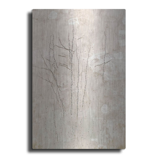 Luxe Metal Art 'Stucco Minus Vine 3' by IMB, Metal Wall Art