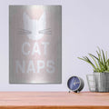 'Cat Naps' by Linda Woods – Metal Wall Art, 12x16 room view