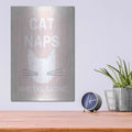'Cat Naps And Tailgating' by Linda Woods – Metal Wall Art, 12x16 room view