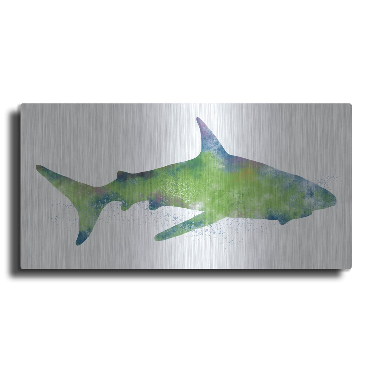 'Watercolor Shark II' by Linda Woods – Metal Wall Art