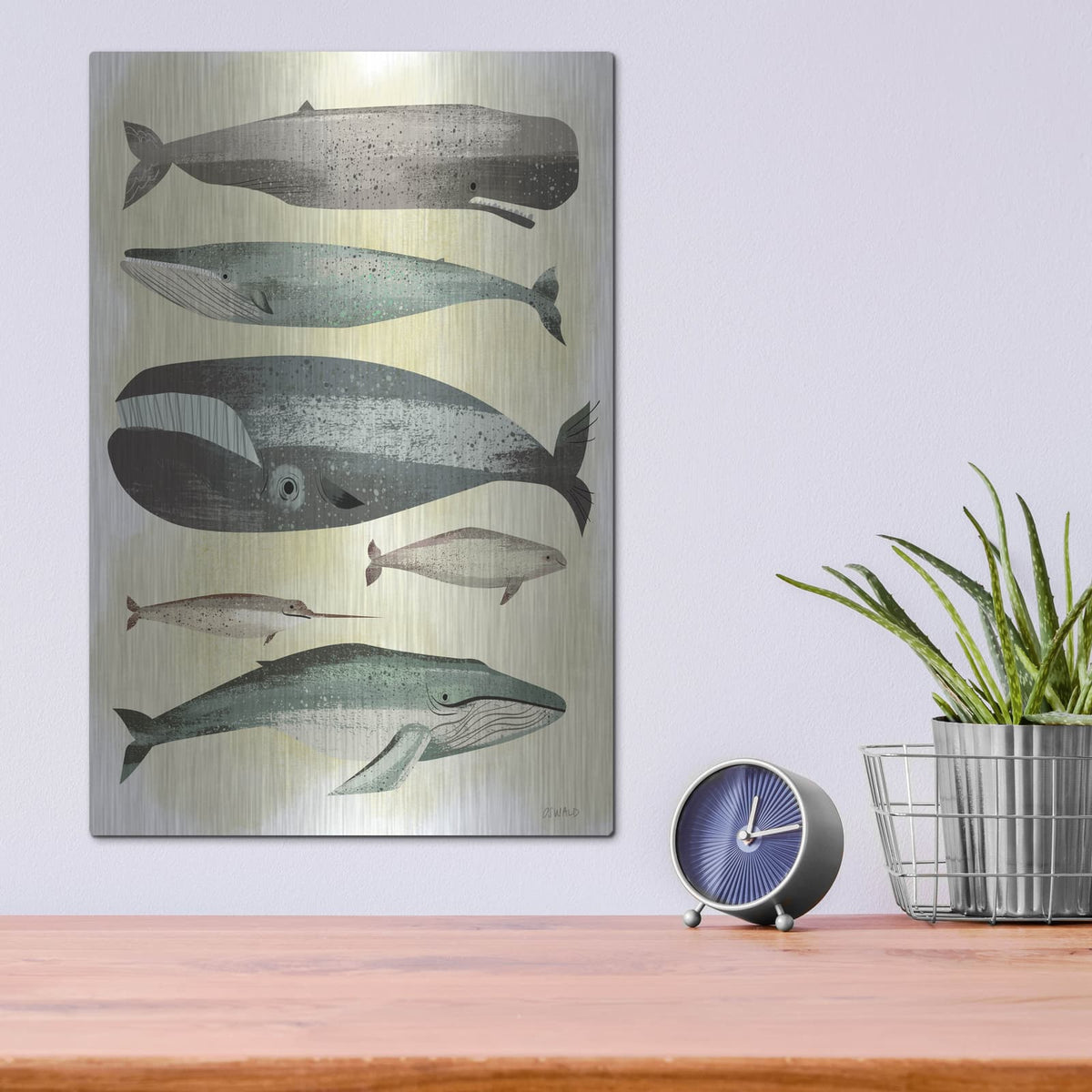 'Whales' by Pete Oswald – Metal Wall Art, 12x16 room view