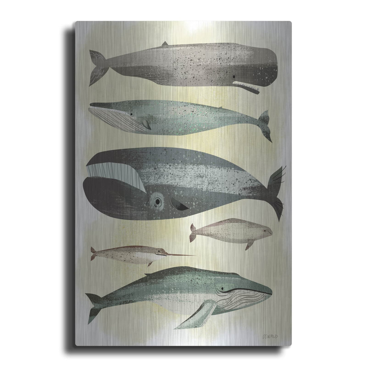 'Whales' by Pete Oswald – Metal Wall Art