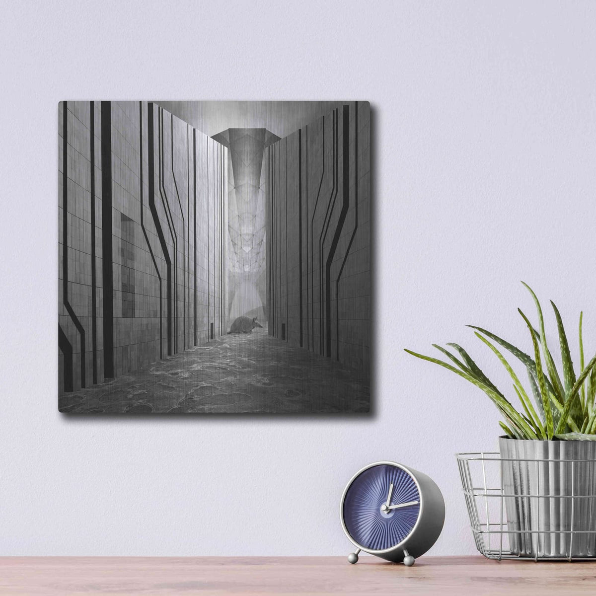 'Armadillo' by Dariusz Klimczak – Metal Wall Art, 12x12 room view