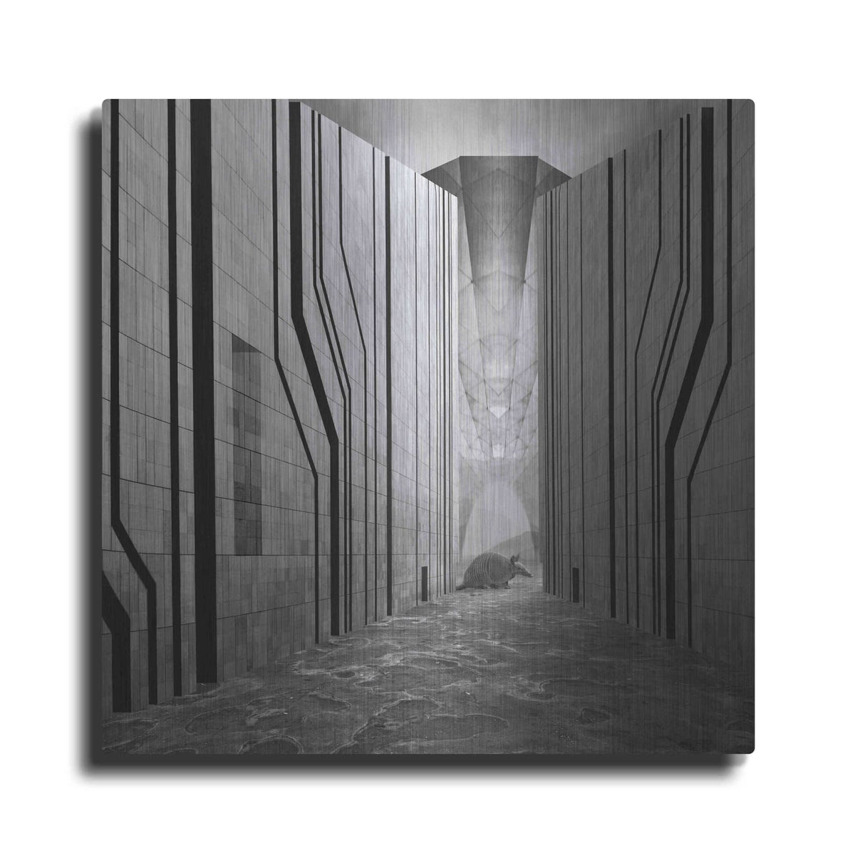 'Armadillo' by Dariusz Klimczak – Metal Wall Art