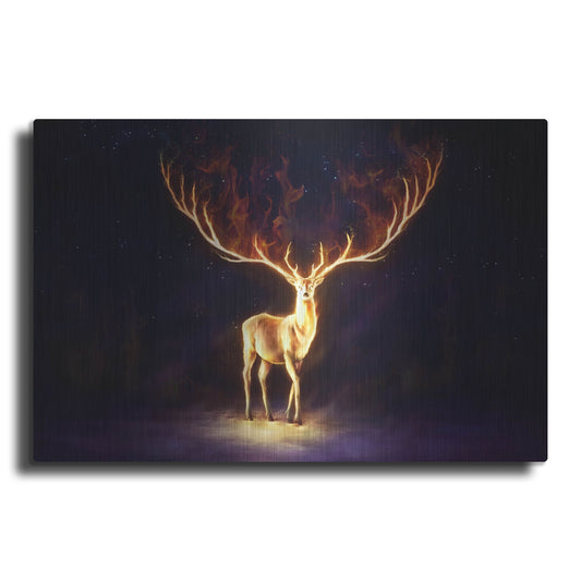 Luxe Metal Art 'Firewalker' by JoJoesArt, Metal Wall Art