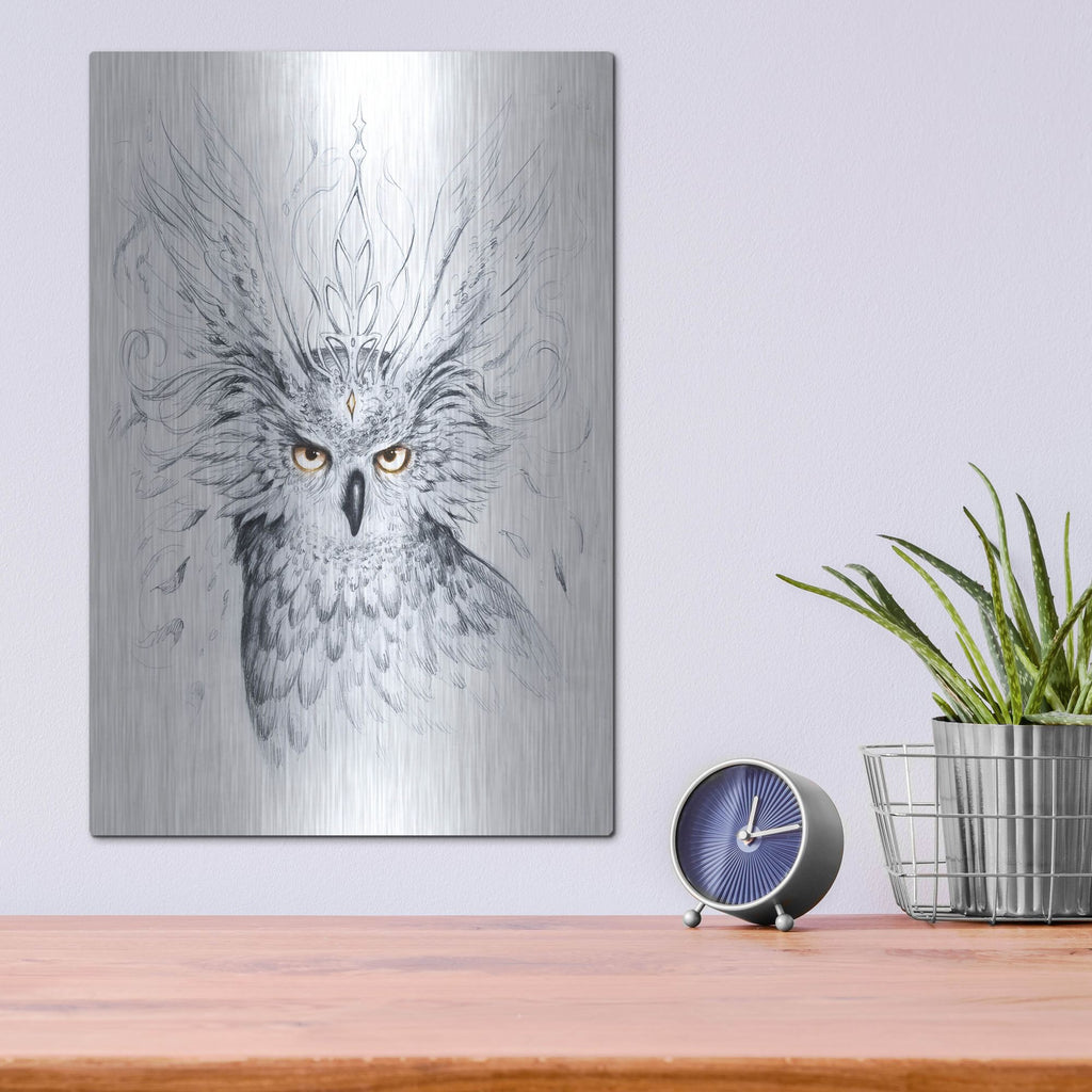 Luxe Metal Art 'Owl' by JoJoesArt, Metal Wall Art,12x16