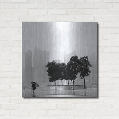 Luxe Metal Art 'Singapore Umbrella' by Nina Papiorek, Metal Wall Art,36x36